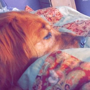 Meet your Posher, Sandy